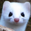 EvilWeasel