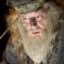 Professor Albus Dumbledore