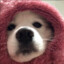 dave1i-