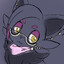 a zorua