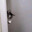 amrPnG-
