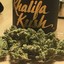 Khalifa Kush