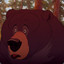 Bodacious Bear