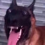 Avatar of asdasdsadasdasd