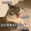 时雨