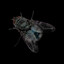 house fly gaming