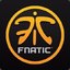 Fnatic Winners - Good team!
