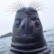 Vomart