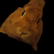 cytrynek3434case.gift