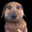 Antro15cm's avatar