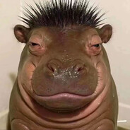 Hippo