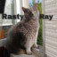 rastyray23