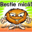 bestieMICA