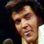 EL rey