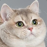 JessePlnkman