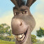 Donkey