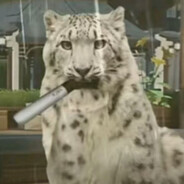 长期素食瑞克Ⅴ代