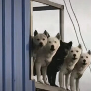 凭本事抢的钱为啥打我