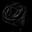 born to die