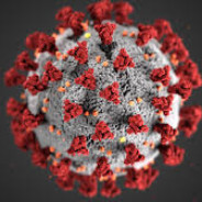 SKIBIDI CORONA NUTCASE - steam id 76561198281364692