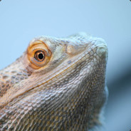 PePe - steam id 76561197965570555