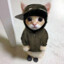 tNeko