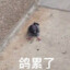 景烟岚