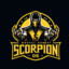 scorpion_1173