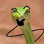 selfy