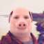 John Pork