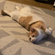 PIRKKA T0N1