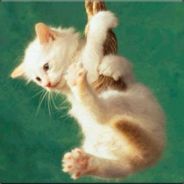 schere, stein, FAUSTINSGESICHT