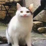 給時間一點時間