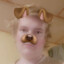 relismagomedov