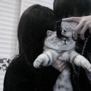 kris - steam id 76561197963155452