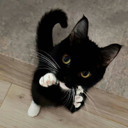 是origin不是橙子