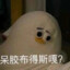 阿吧阿吧