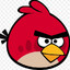 Red Bird