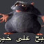 Arab Ratatouille