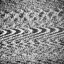 White Noise