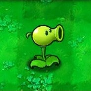 山顶野猪—Geoge