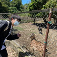 你这辈子也就这样了