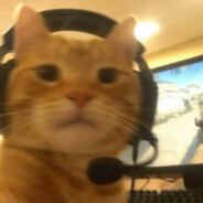 WhiskerOneTap