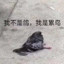 玛卡巴卡