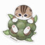 Neko