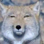 yoshimitu