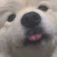 那年我双手抱头 被打得屁滚尿流