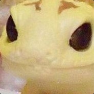 Avatar boNAA  Gamdom.com