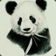 Pandalore