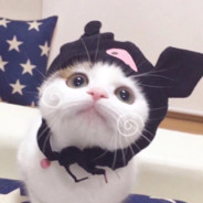 快递员正在派送中～～